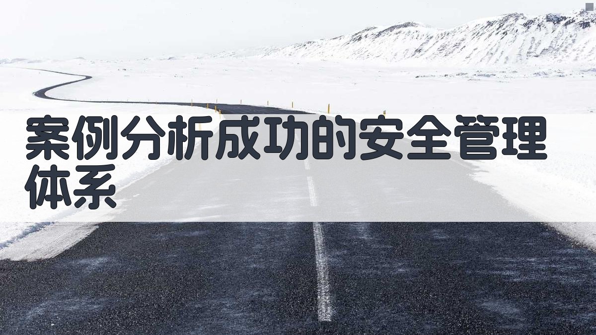 案例分析成功的安全管理体系 图3