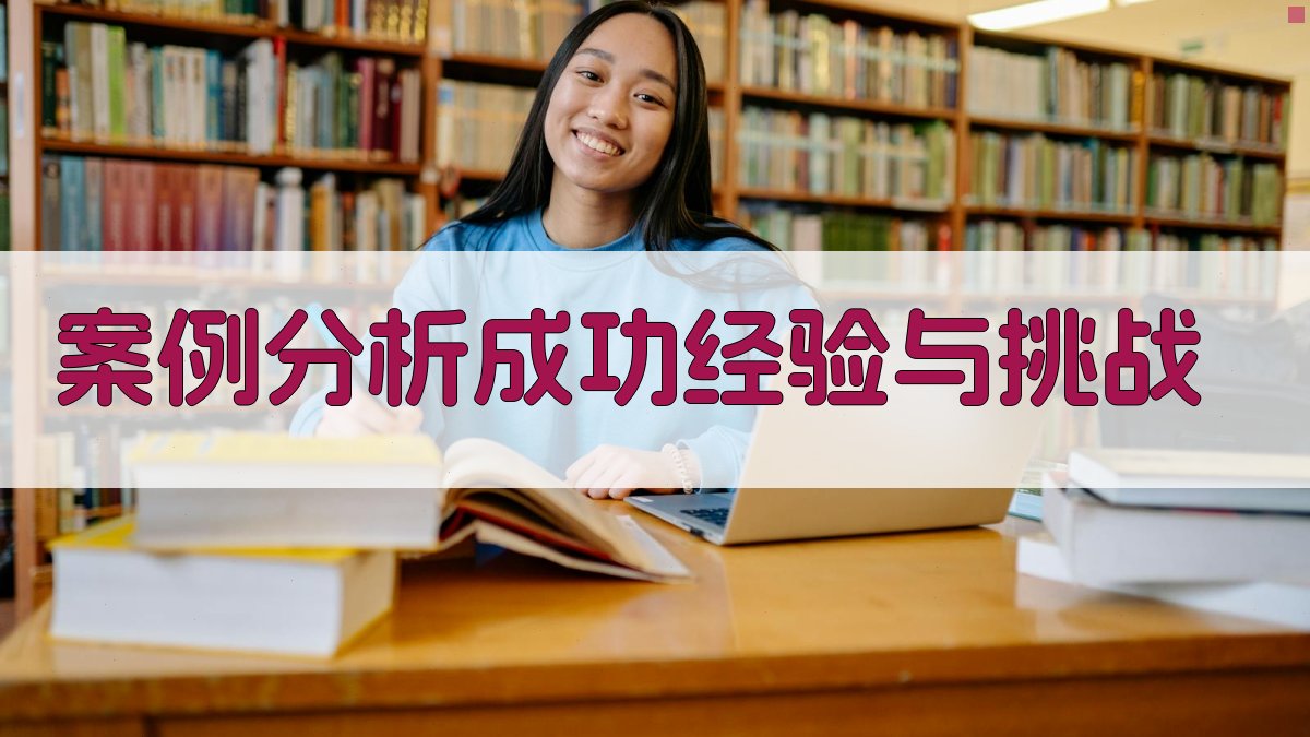 案例分析成功经验与挑战 图3