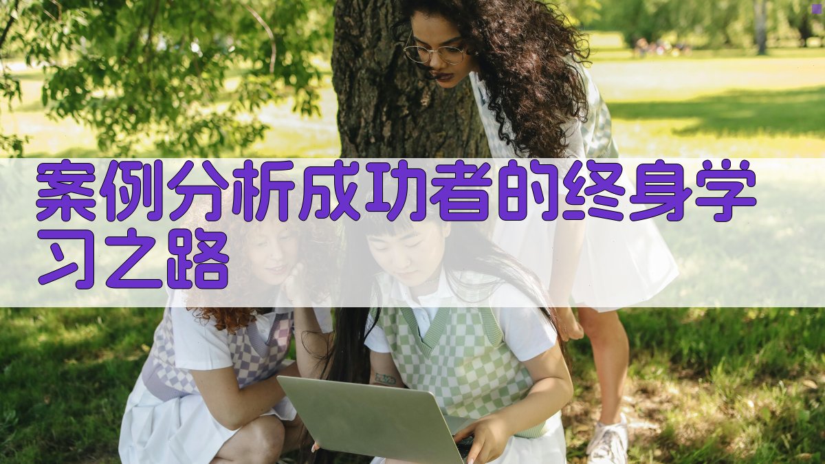 案例分析成功者的终身学习之路 图4