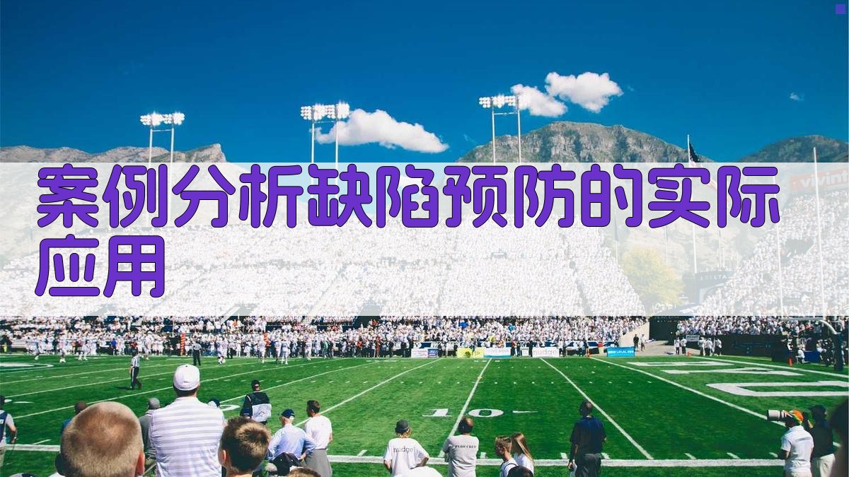 案例分析缺陷预防的实际应用 图4