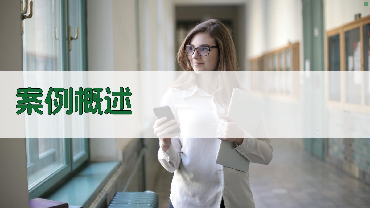 案例概述 图1