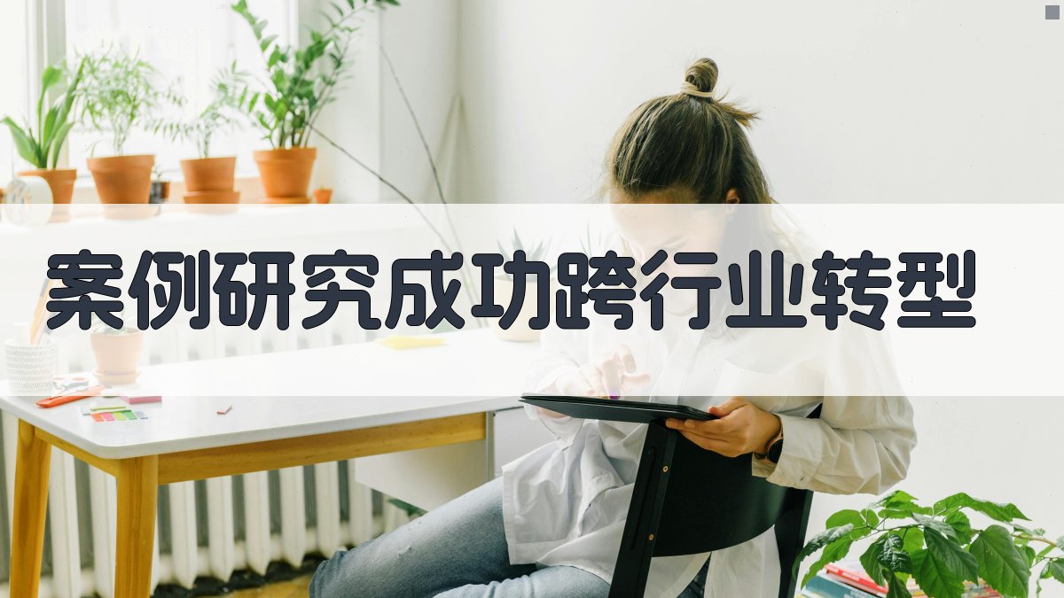 案例研究成功跨行业转型 图2
