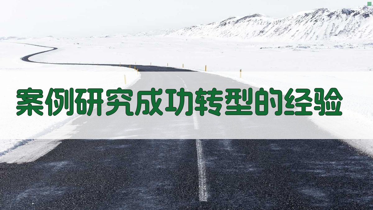 案例研究成功转型的经验 图4