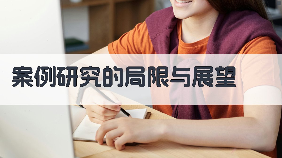 案例研究的局限与展望 图3