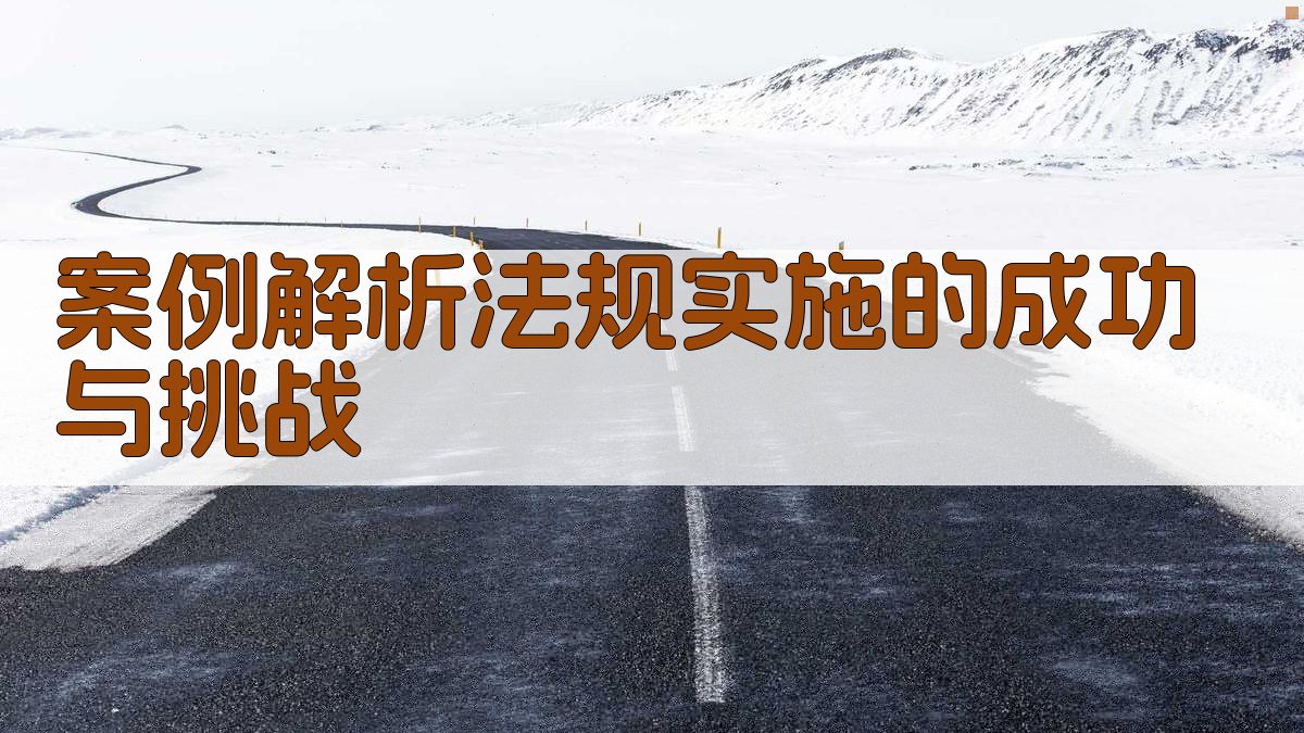 案例解析法规实施的成功与挑战 图2
