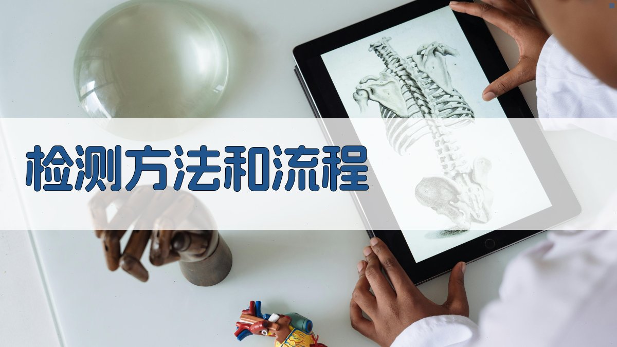 检测方法和流程 图2