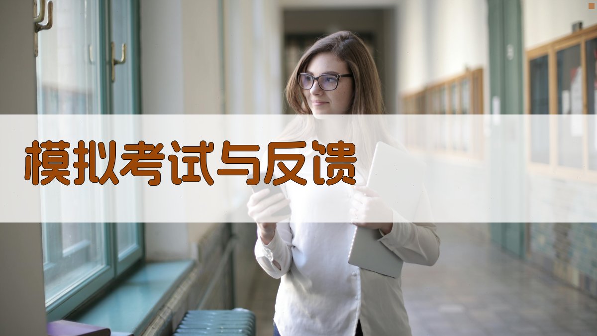 模拟考试与反馈 图2