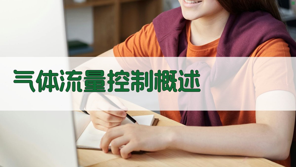 气体流量控制概述 图1