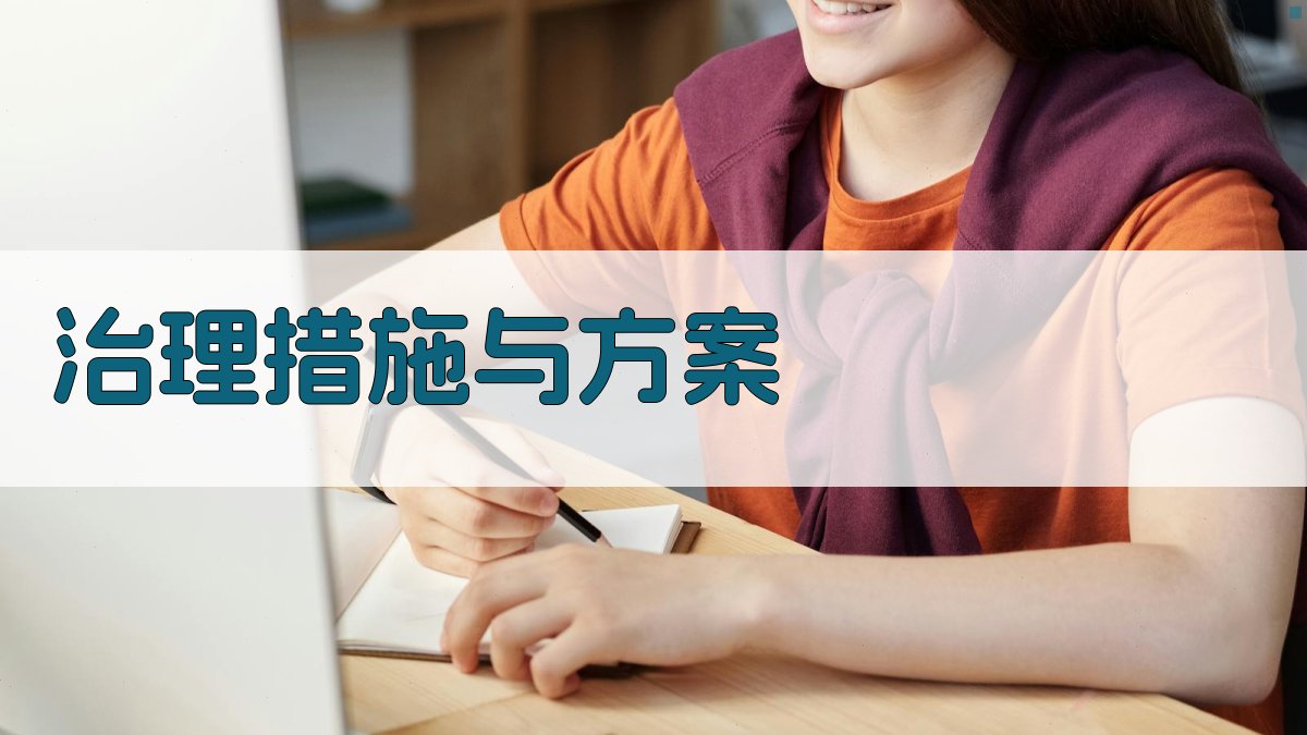 治理措施与方案 图2