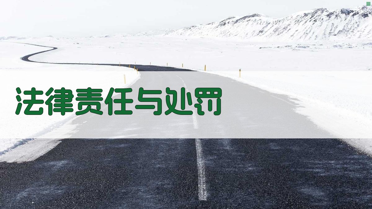 法律责任与处罚 图1