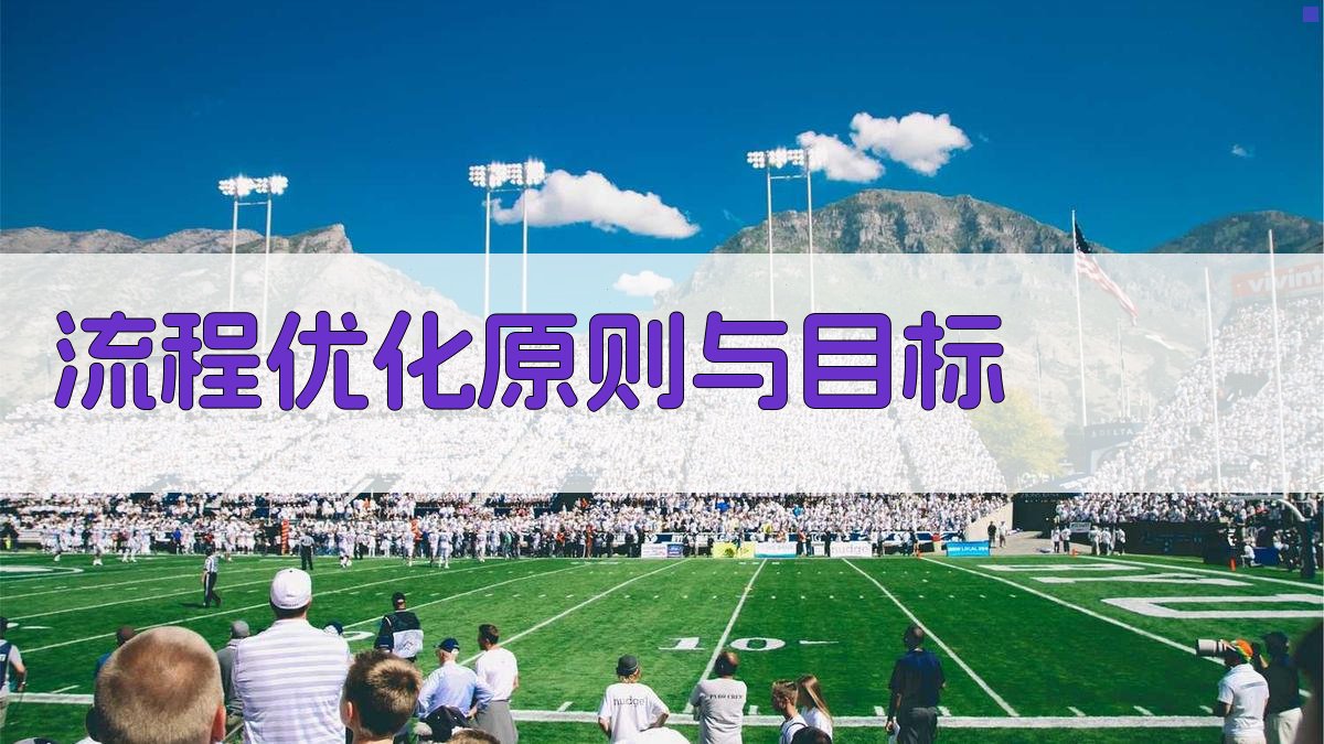 流程优化原则与目标 图2