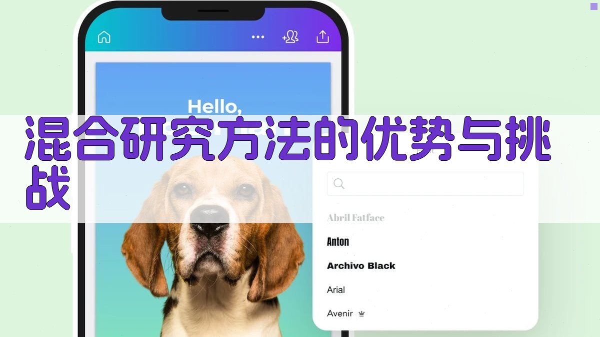 混合研究方法的优势与挑战 图4