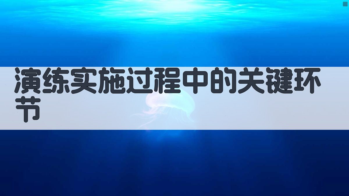 演练实施过程中的关键环节 图3