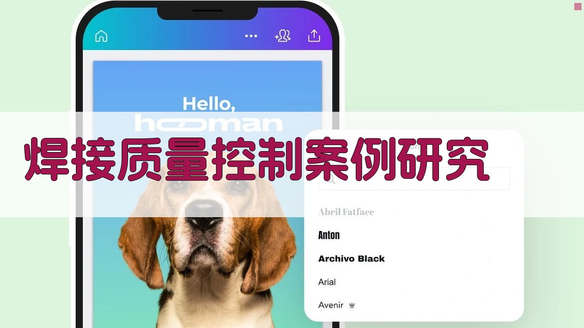 焊接质量控制案例研究 图4