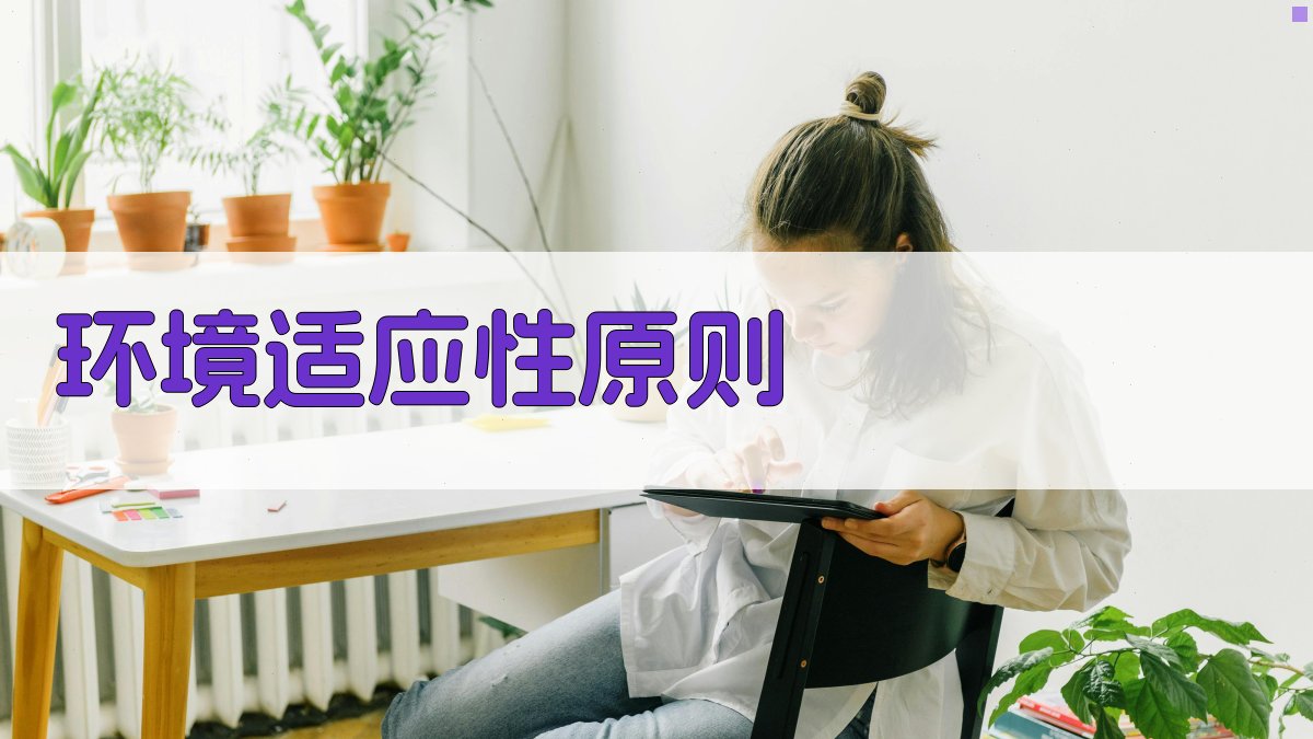 环境适应性原则 图2