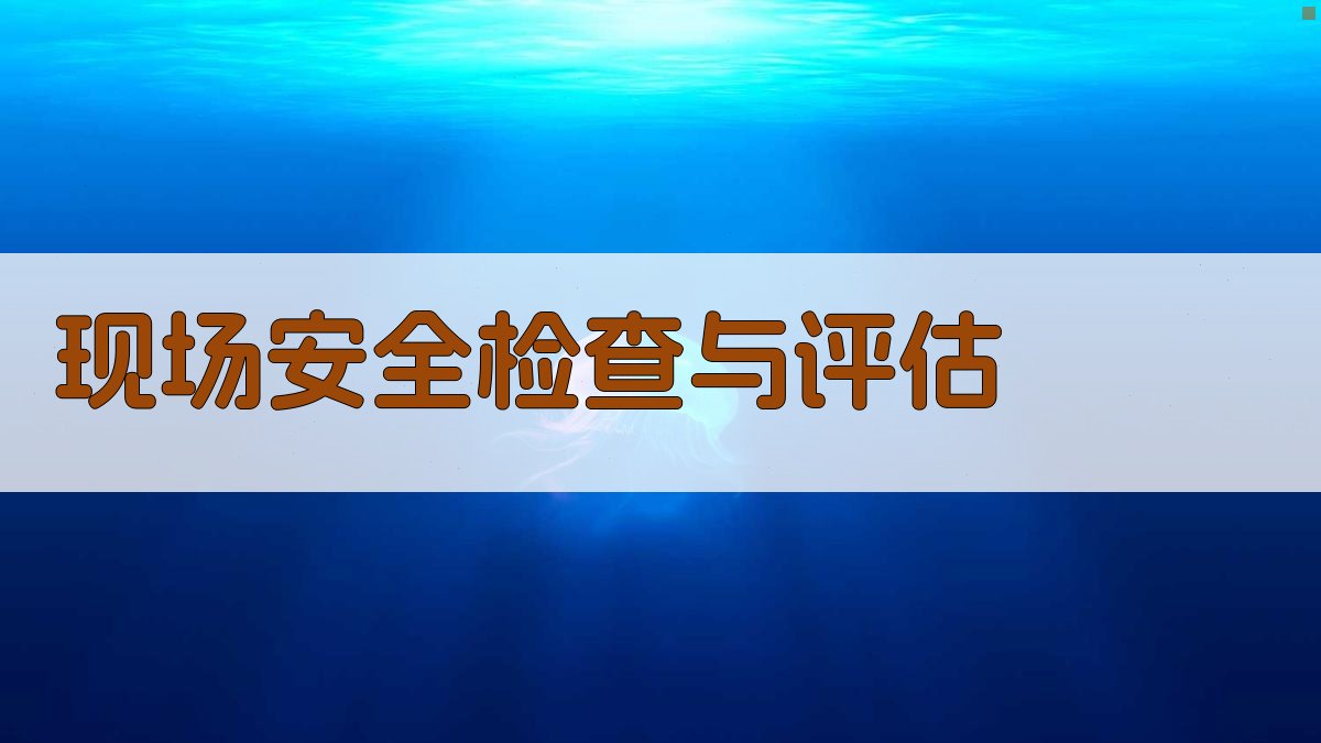 现场安全检查与评估 图3