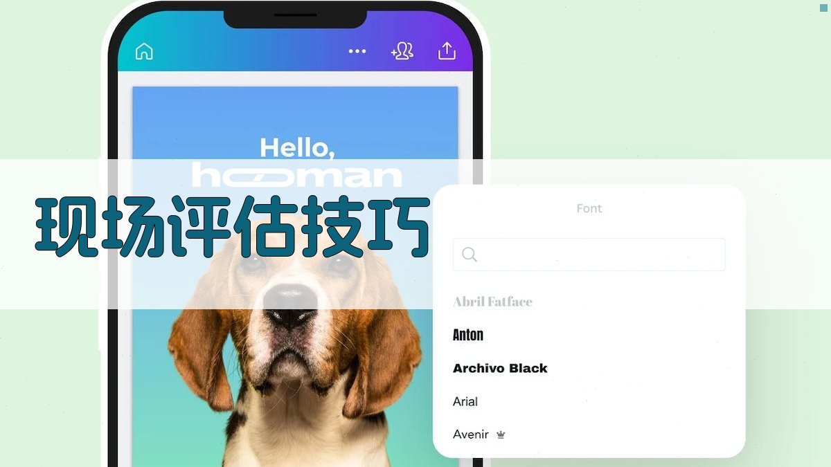 现场评估技巧 图2