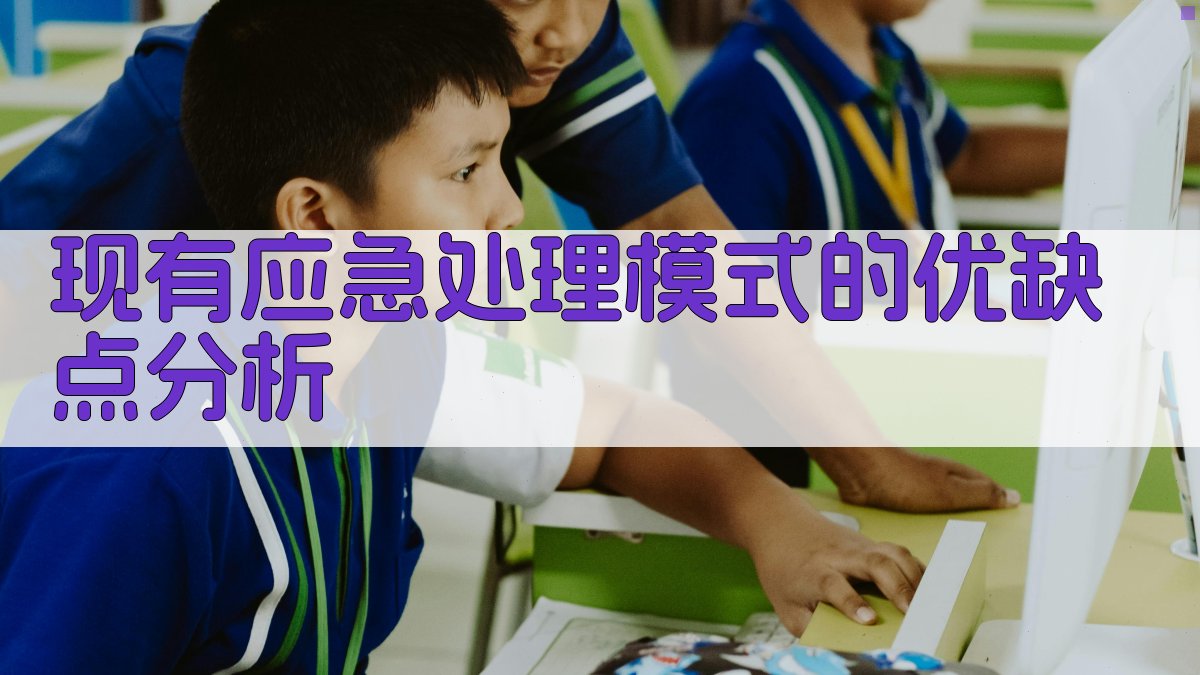 现有应急处理模式的优缺点分析 图2