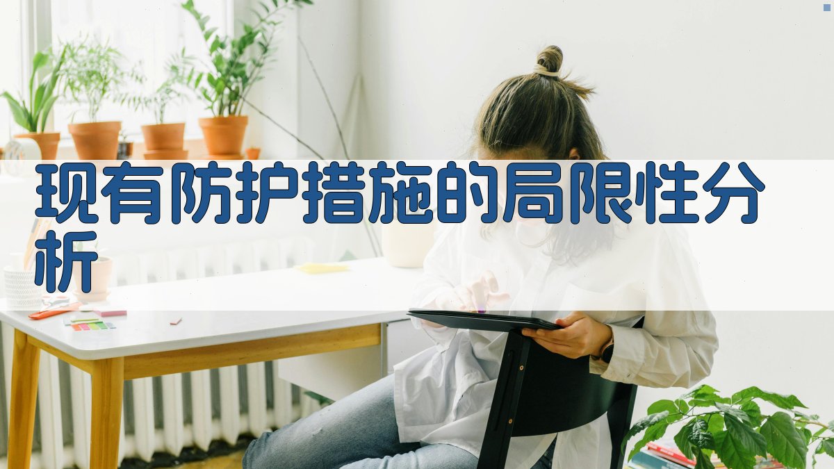 现有防护措施的局限性分析 图2