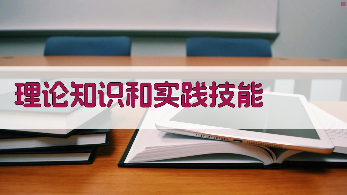 理论知识和实践技能 图1