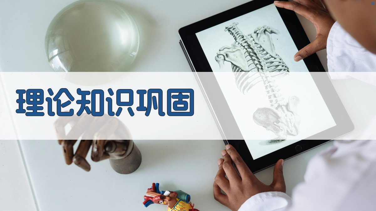 理论知识巩固 图3