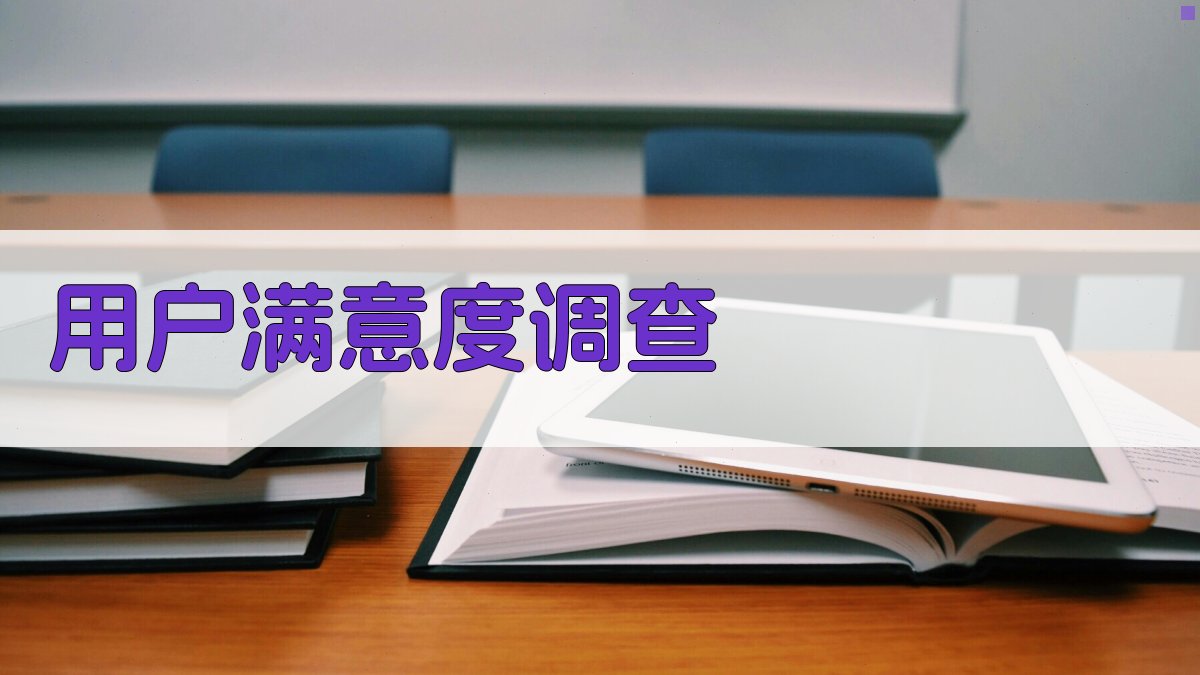 用户满意度调查 图2