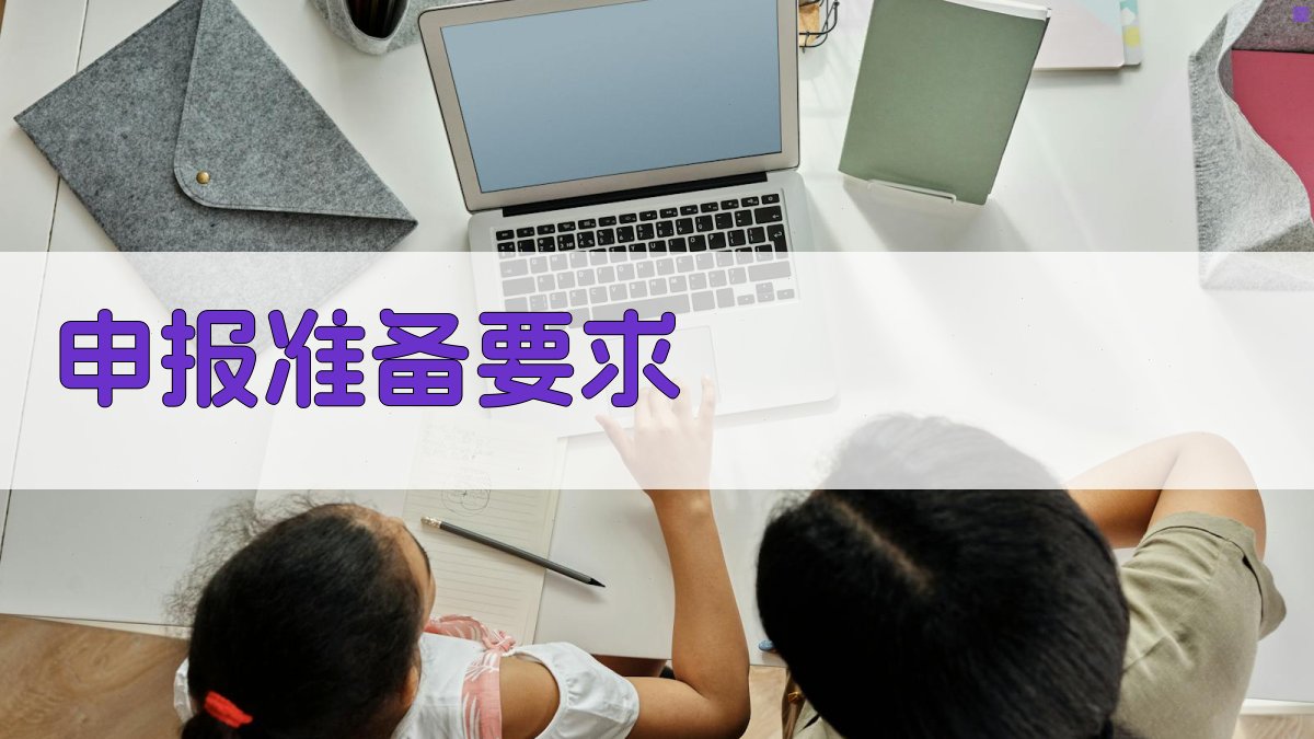 申报准备要求 图1