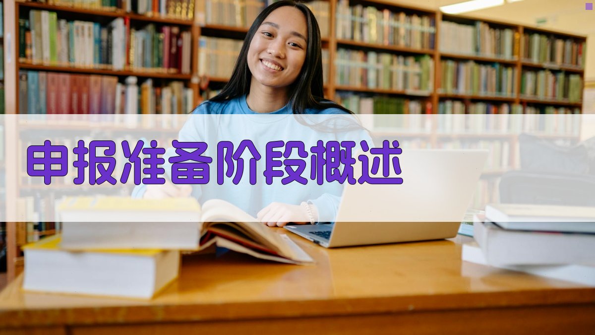 申报准备阶段概述 图1