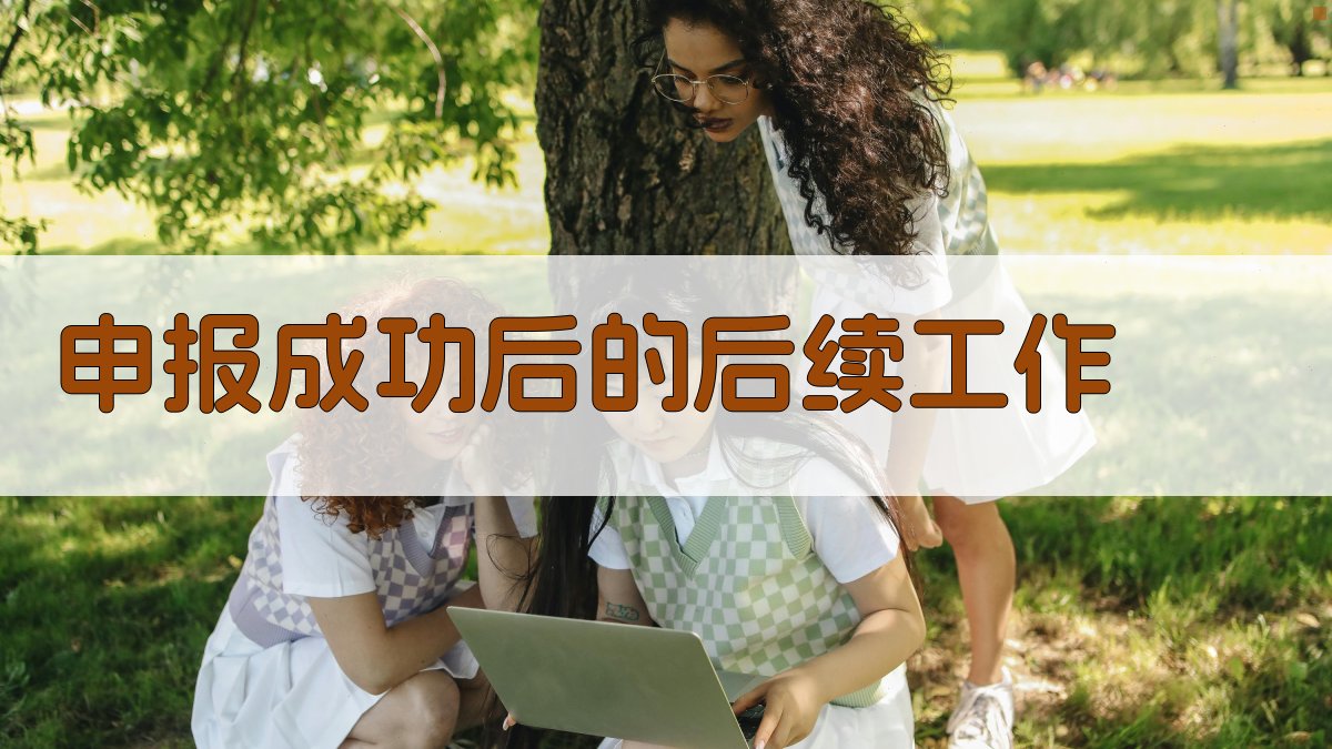 中级职称申报流程优化指南