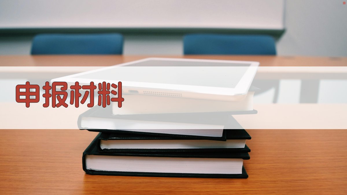 申报材料 图1