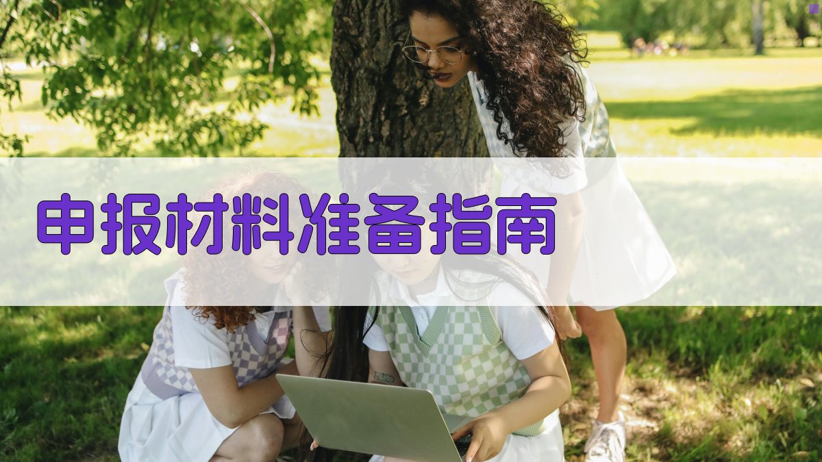 申报材料准备指南 图2
