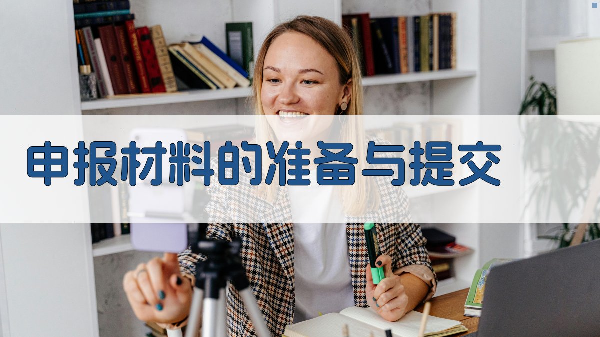 申报材料的准备与提交 图2