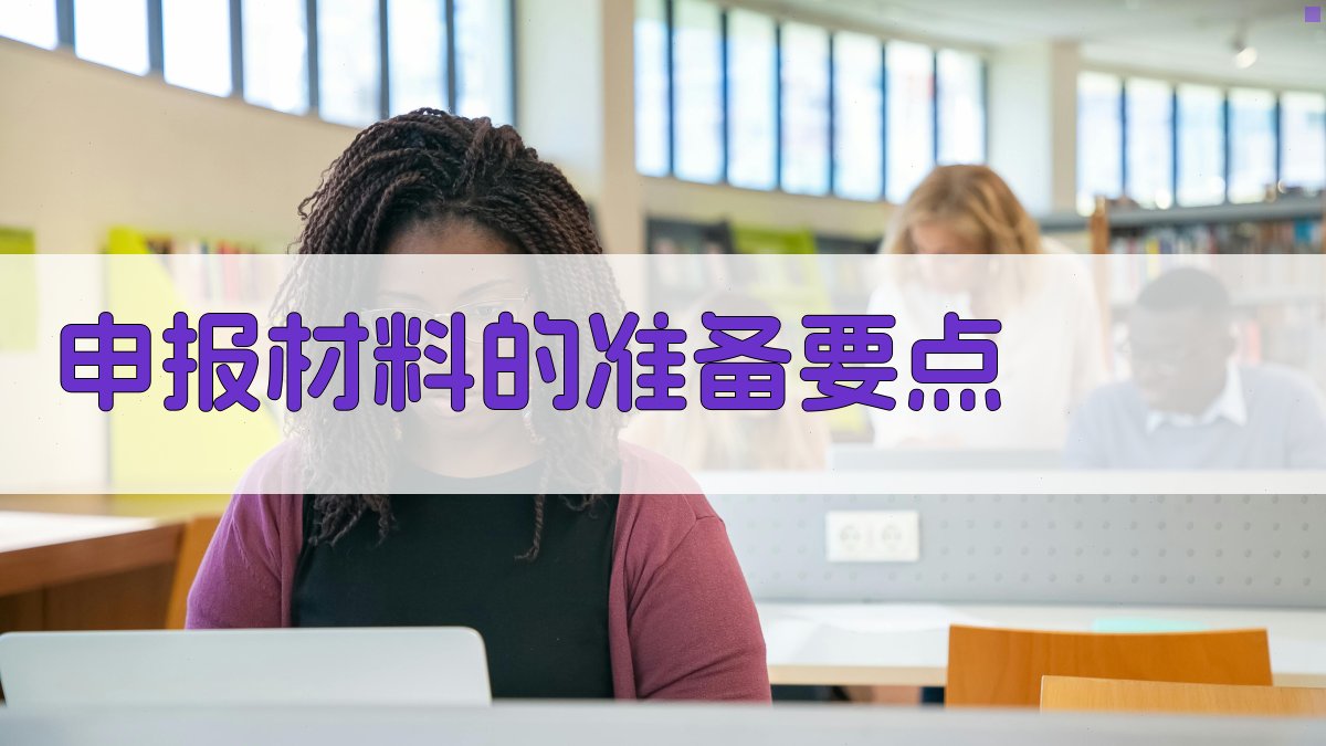 申报材料的准备要点 图2