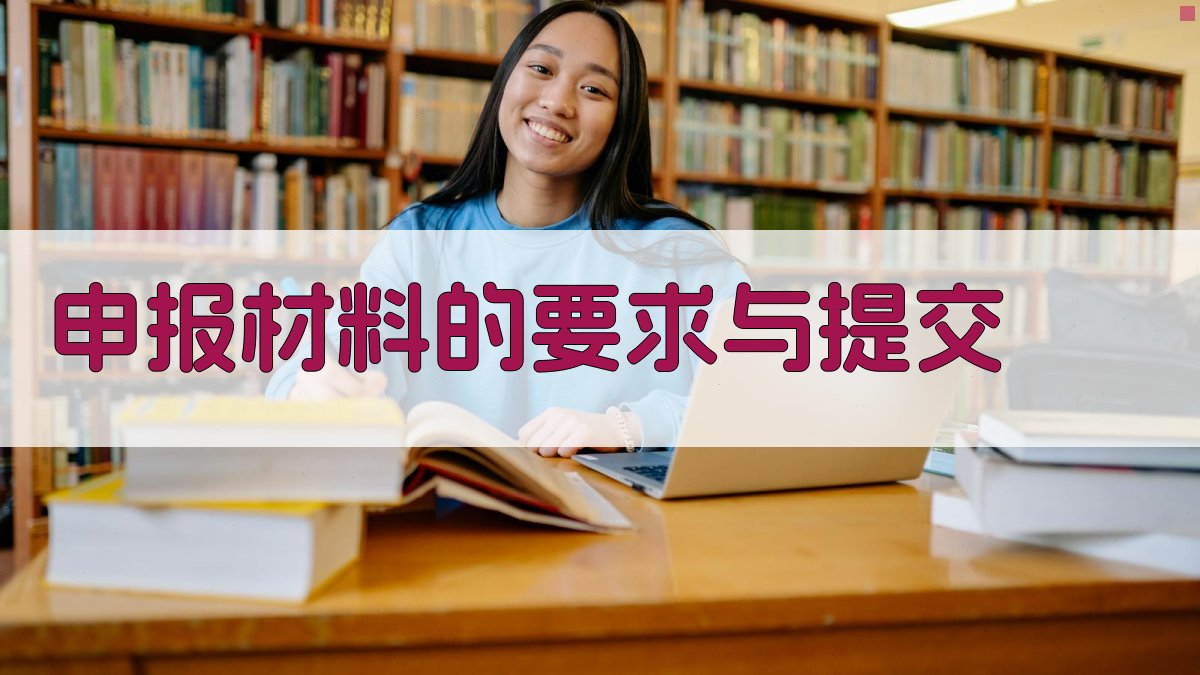 申报材料的要求与提交 图2