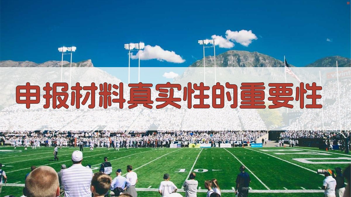 申报材料真实性的重要性 图1