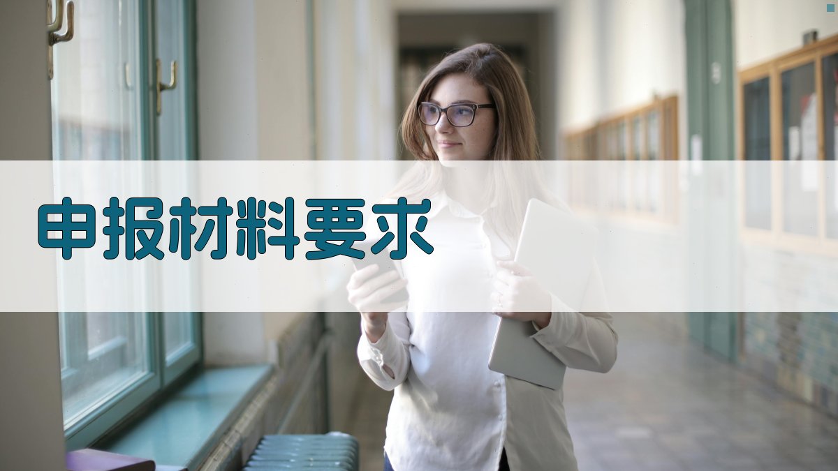 申报材料要求 图2