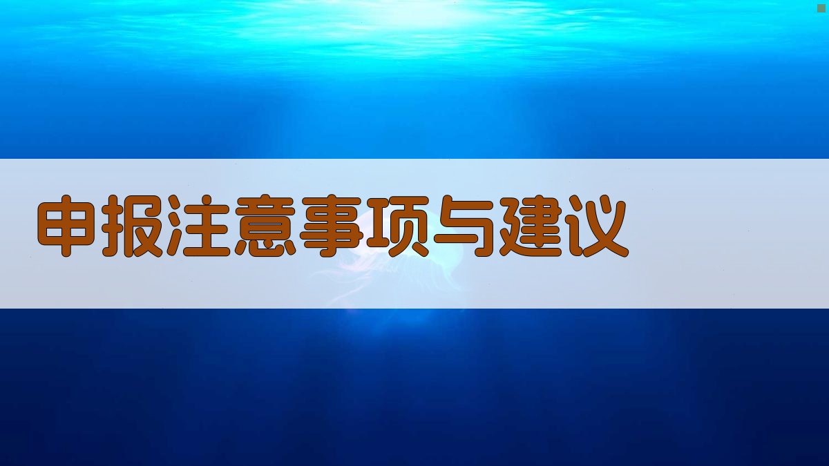 申报注意事项与建议 图3