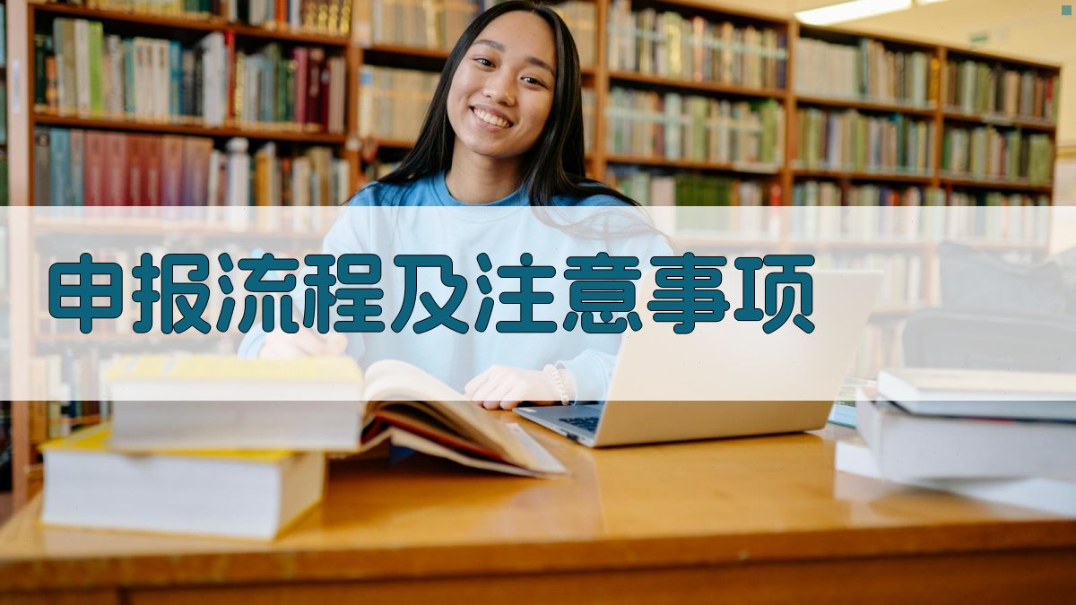 申报流程及注意事项 图4