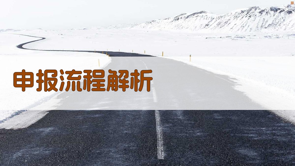 申报流程解析 图3