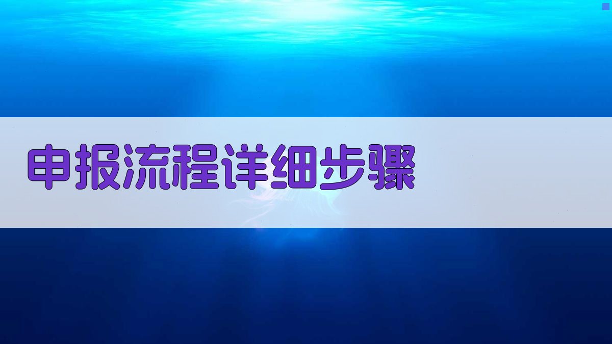 申报流程详细步骤 图1