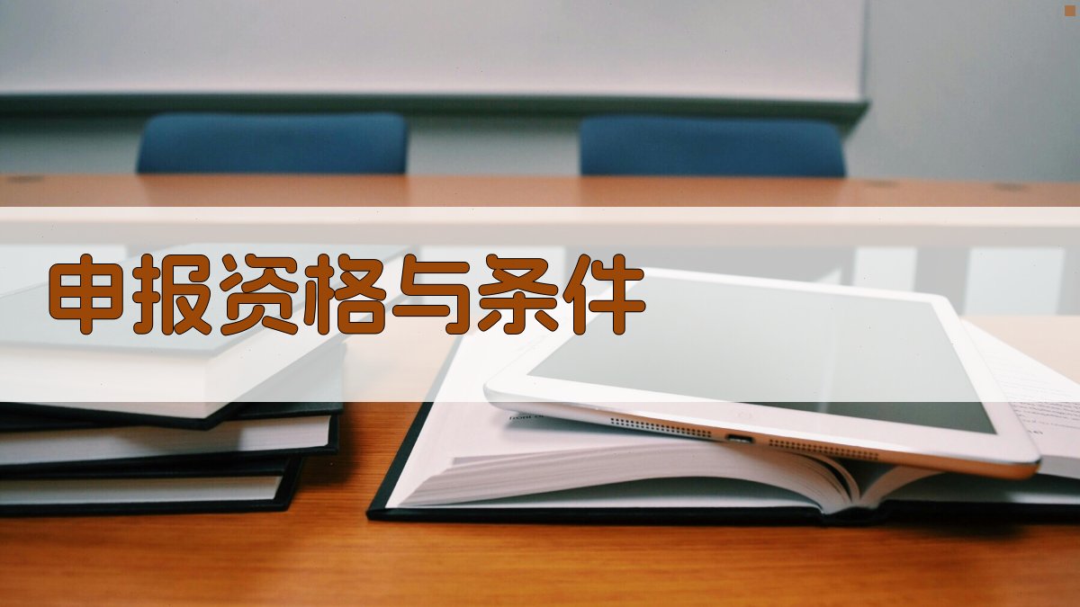 申报资格与条件 图2