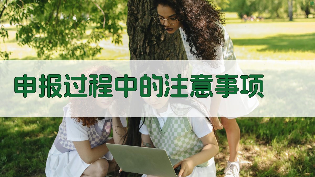 申报过程中的注意事项 图2