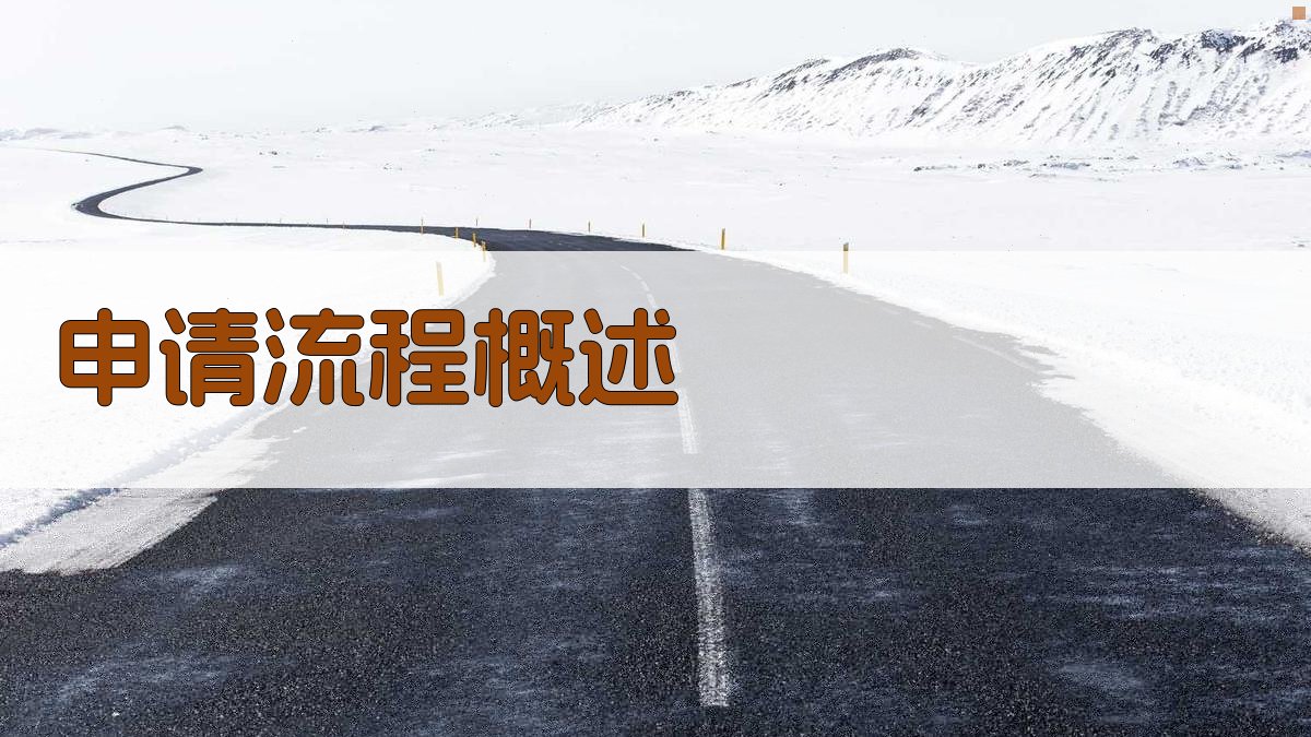 申请流程概述 图1