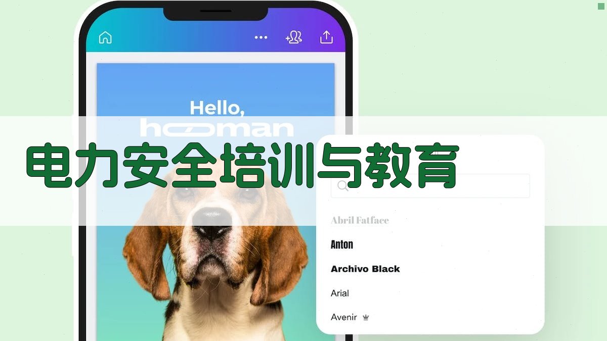 电力安全培训与教育 图3