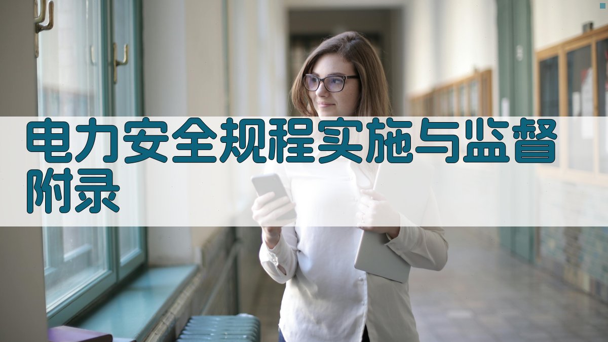 电力安全规程实施与监督 · 附录 图2