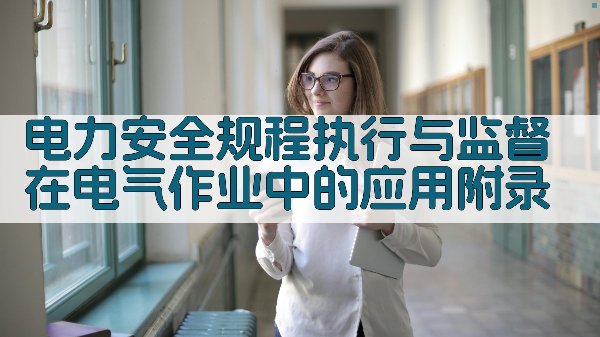 电力安全规程执行与监督在电气作业中的应用 · 附录 图2