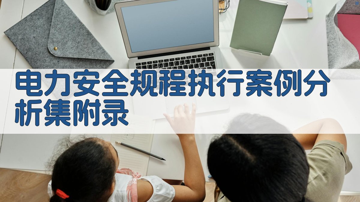 电力安全规程执行案例分析集 · 附录 图4