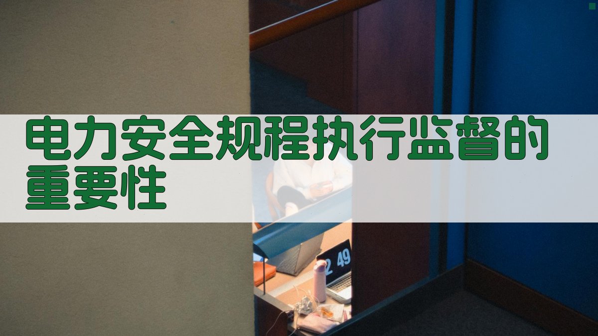 电力安全规程执行监督体系构建与实施