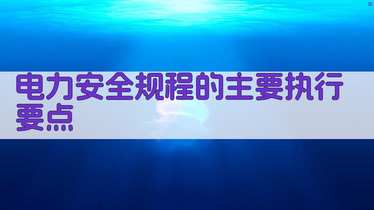 电力安全规程的主要执行要点 图2