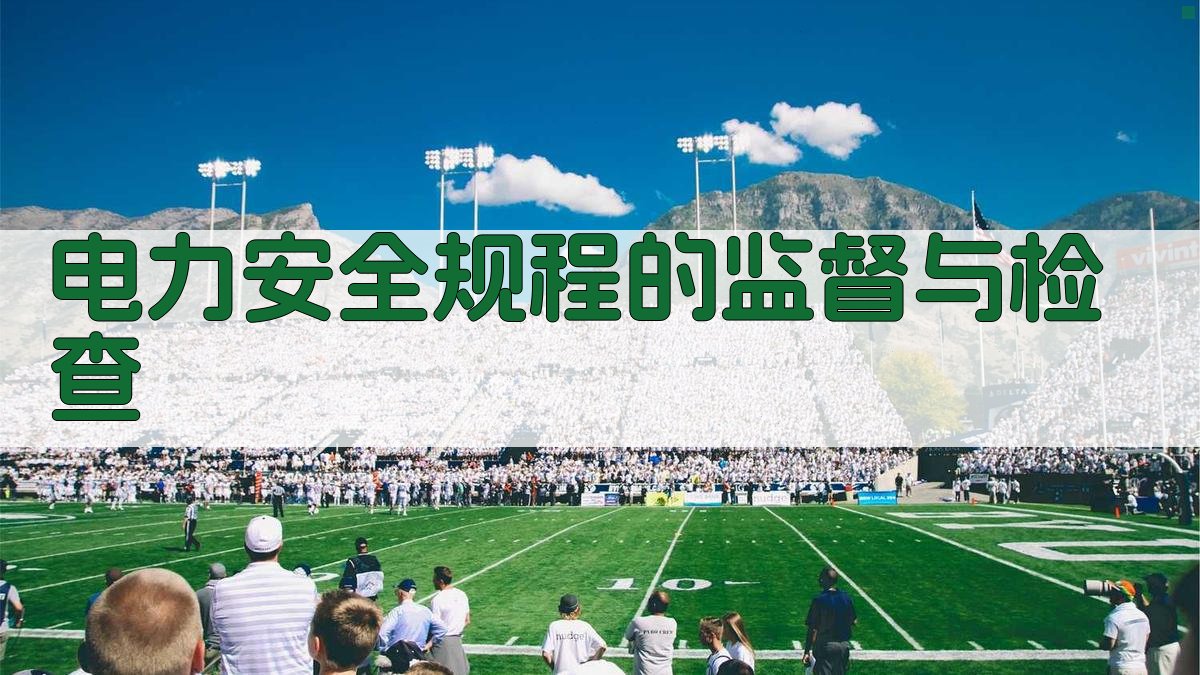 电力安全规程的监督与检查 图3